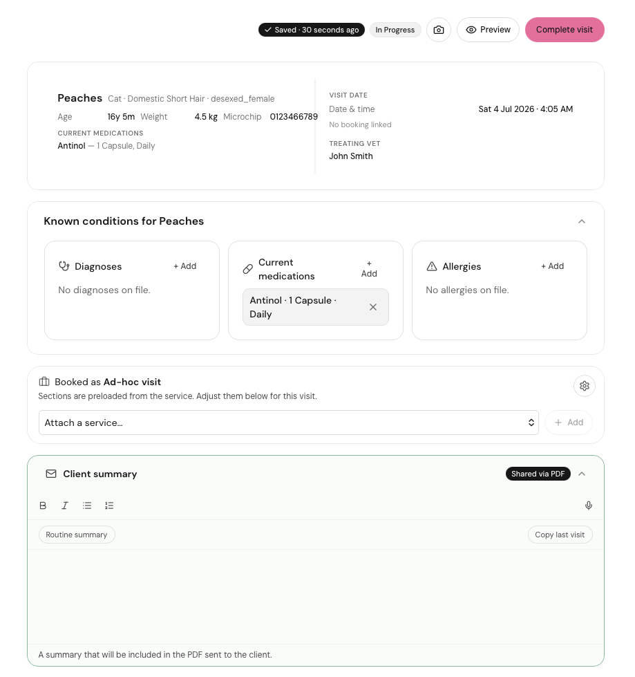 Clinical visit record with patient header, conditions and a client summary